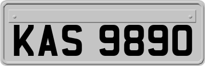 KAS9890