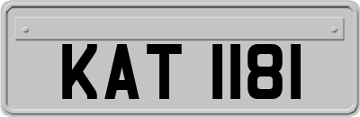 KAT1181