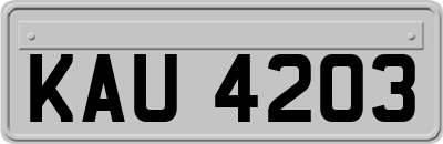 KAU4203