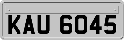 KAU6045