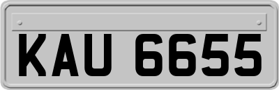 KAU6655
