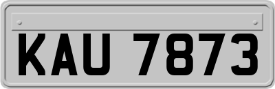 KAU7873