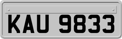 KAU9833