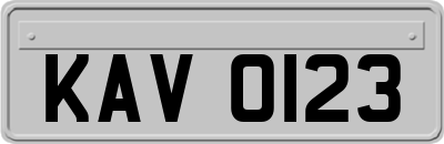 KAV0123