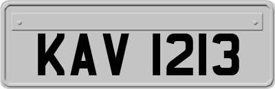 KAV1213