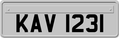 KAV1231