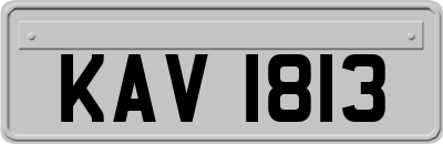 KAV1813