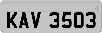 KAV3503