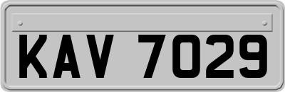 KAV7029