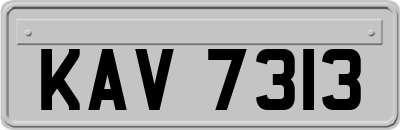 KAV7313