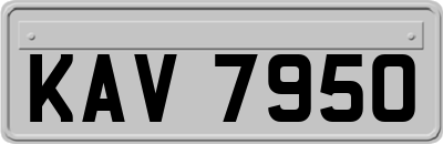 KAV7950