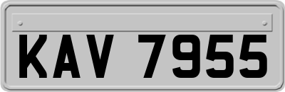 KAV7955