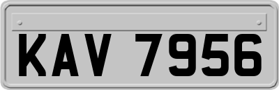 KAV7956