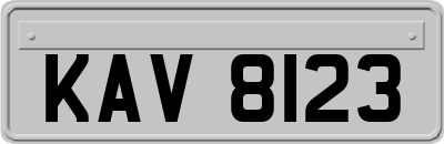 KAV8123