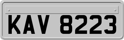 KAV8223