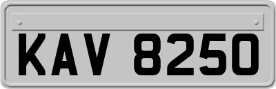 KAV8250