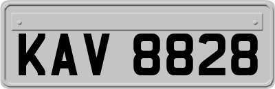 KAV8828