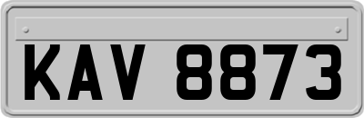 KAV8873