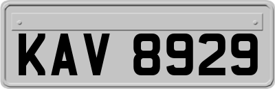 KAV8929