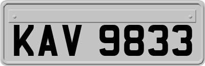 KAV9833