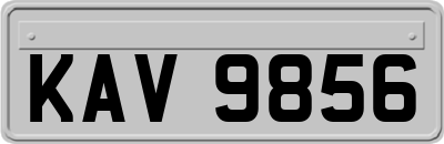 KAV9856