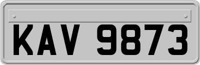 KAV9873