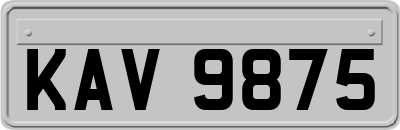 KAV9875