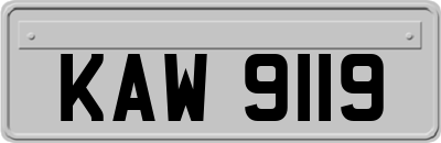 KAW9119
