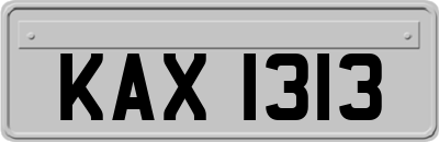 KAX1313