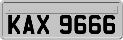 KAX9666