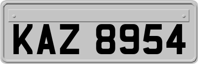 KAZ8954