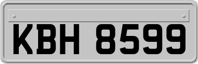 KBH8599