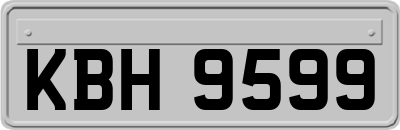 KBH9599