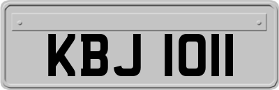 KBJ1011
