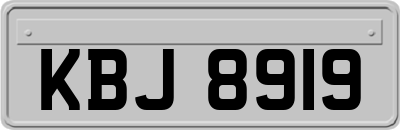 KBJ8919