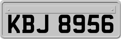 KBJ8956
