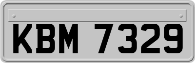 KBM7329