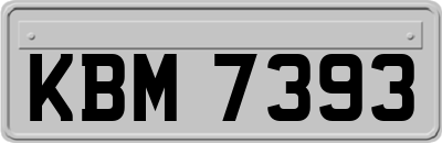 KBM7393