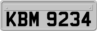 KBM9234