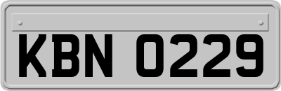 KBN0229