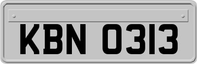 KBN0313