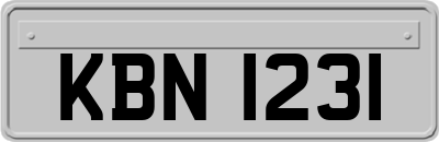 KBN1231