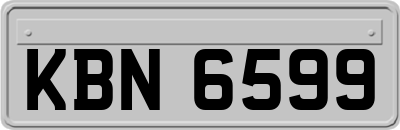 KBN6599