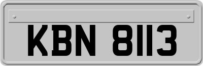 KBN8113