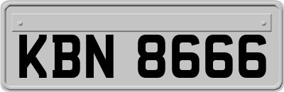 KBN8666