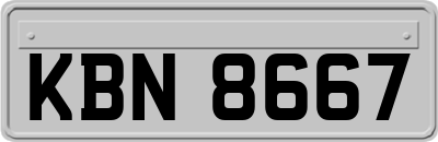 KBN8667