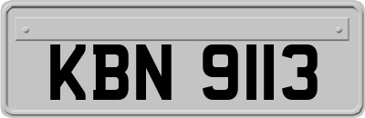 KBN9113