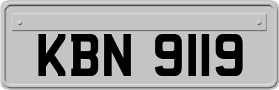 KBN9119