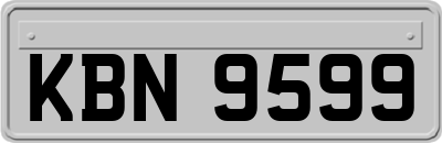 KBN9599