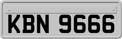 KBN9666